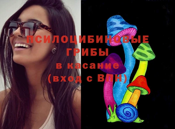 прущая мука Богородск