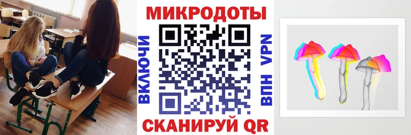 Купить  Жуковка  Галлюциногенные грибы Psilocybine cubensis 